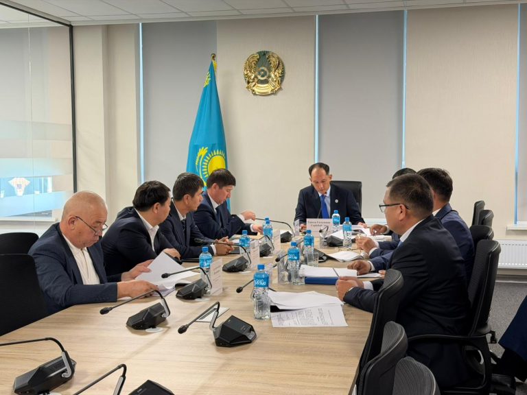 Тексеру комиссиясының кезекті қорытынды отырысы өткізіліп, күн тәртібіне сәйкес мәселелер қаралды